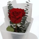 single_rose_in_white_wrap_with_godiva.png