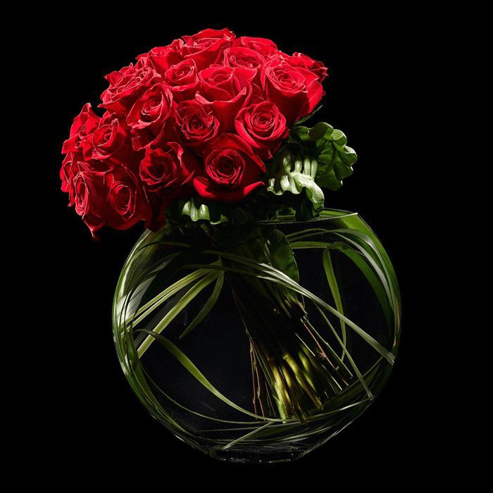 stunning red roses 1