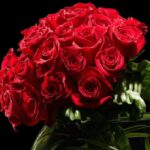 stunning_red_roses.png