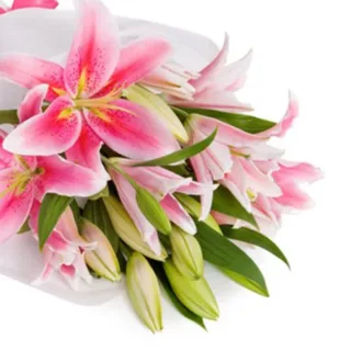 Treasured Pink Lilies Online