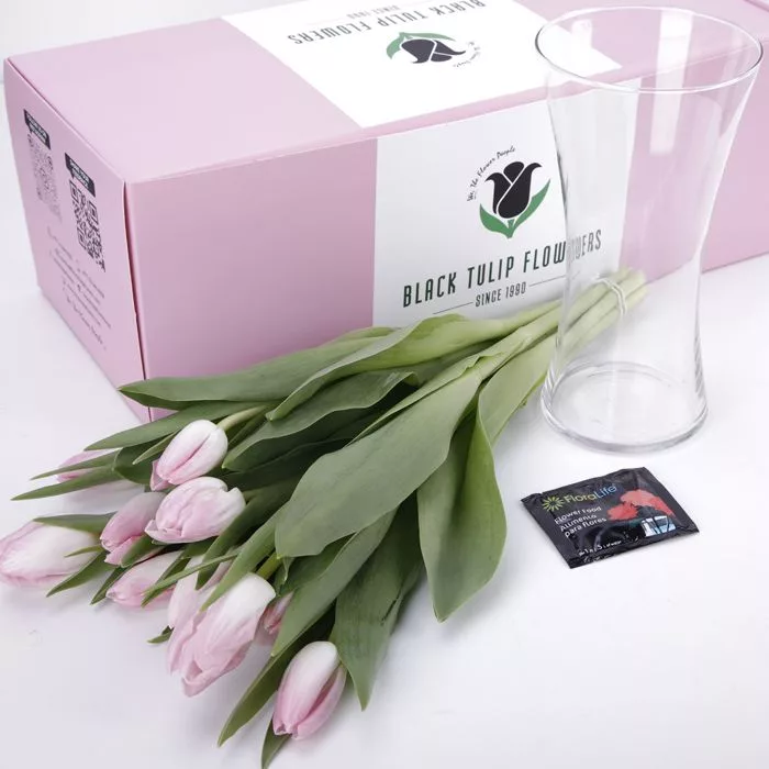 tulip pink 03 jpg