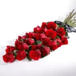 valentine_red_roses_24_stems.jpg