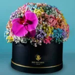 vibrant_flower_box.jpg