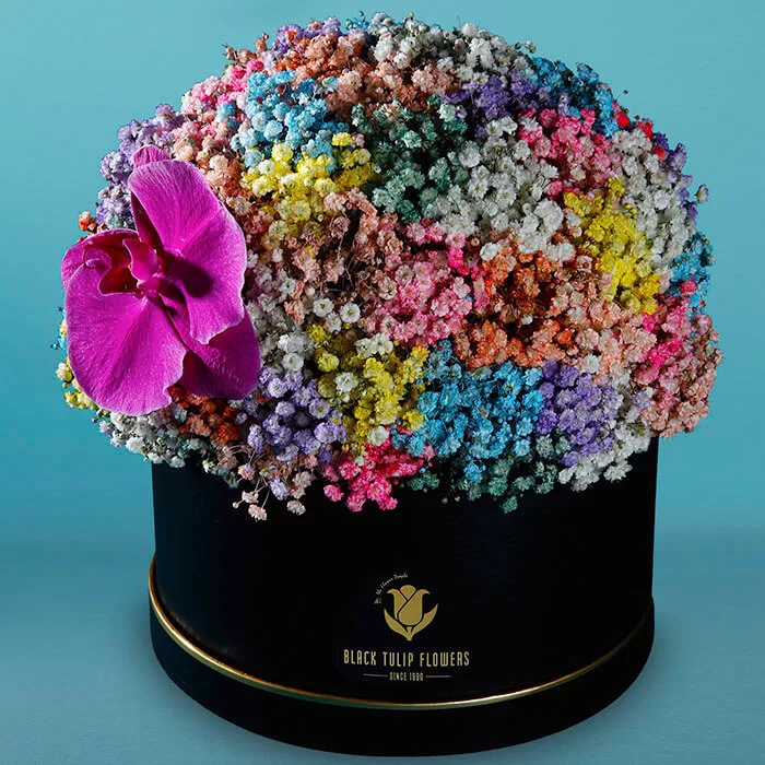 vibrant flower box 2 jpg