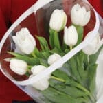 White Tulips - 10 stems 2 white-tulips–10-stems-2026_02