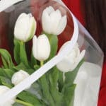 White Tulips - 10 stems 3 white-tulips–10-stems-2026_03
