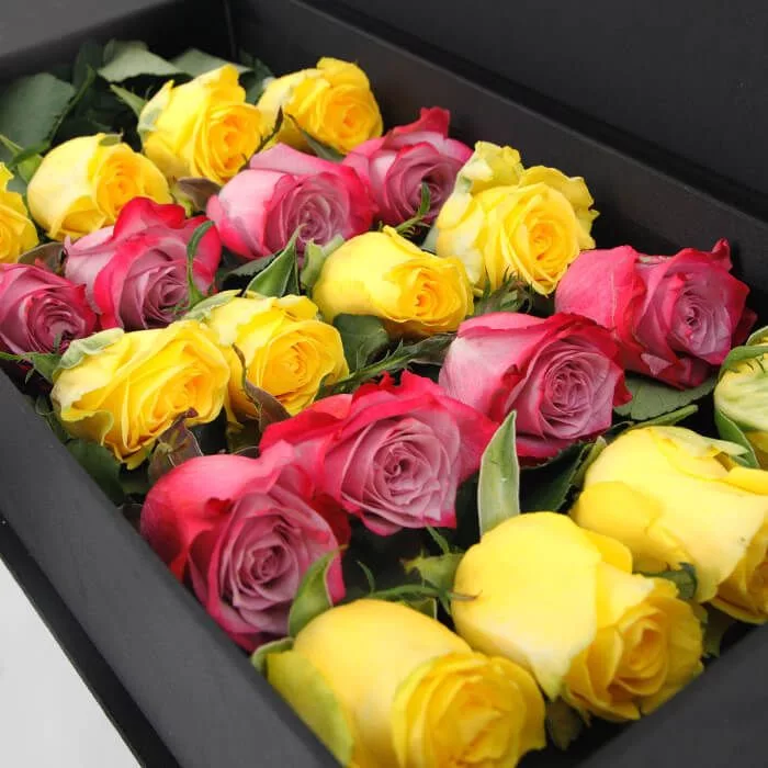 yellow deep purple roses in black box 2 jpg