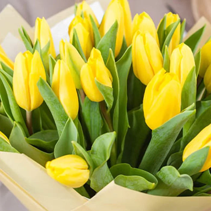 yellow tulip bouquet 2 jpg