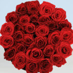 Fancy Red Roses In A Box 4 02 (29)