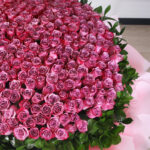 Outstanding Purple Roses 4 04