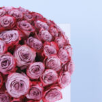 Happy Birthday Vase 2 3 (39)