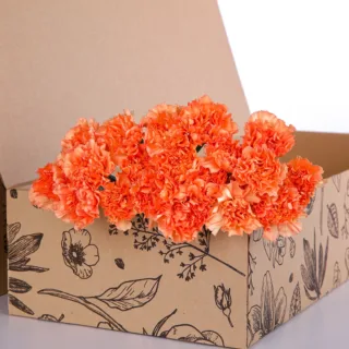Carnation Single Orange