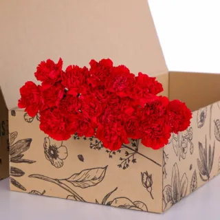 Carnation Single Red