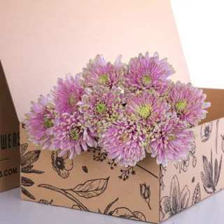 Chrysanthemum Spray Euro - Pink