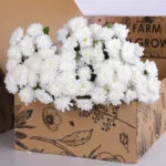 Chrysanthemum Spray Euro White