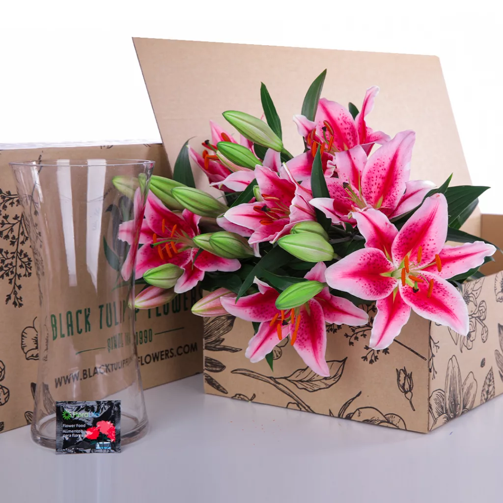 Lily Stargazer Pink A vibrant bouquet of Stargazer Pink lilies presented in a cardboard box with a matching glass vase.