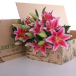 Lily Stargazer with Vase 2 Lily Stargazer Pink
