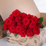 Rose Red 2 Rose - Red (Upper Class) 03