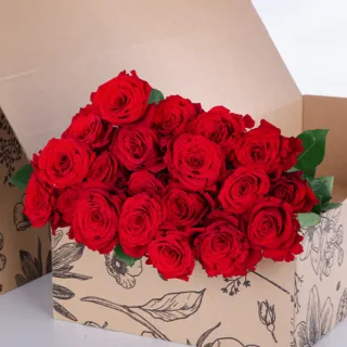 Rose - Red (Upper Class)