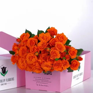 Spray Rose Orange