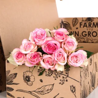 Rose Pink Double Color