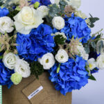 Azure and Ivory with Patchi 3 03