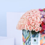 Dramatic Combination 3 2 (42)