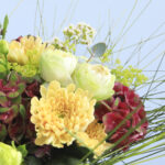 Exotic Masterpiece 3 3 (14) (1)