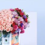 Dramatic Combination 4 3 (43)