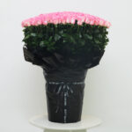 Regal Expressions 1 300stem-pink-roses-large-bouquet
