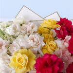 Dazzling Beauty 3 4 (38)