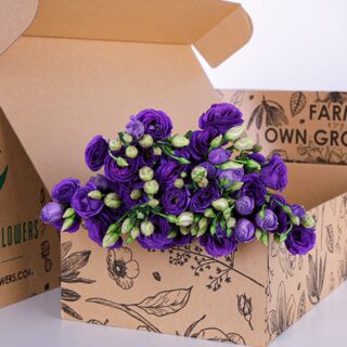 Lisianthus Blue
