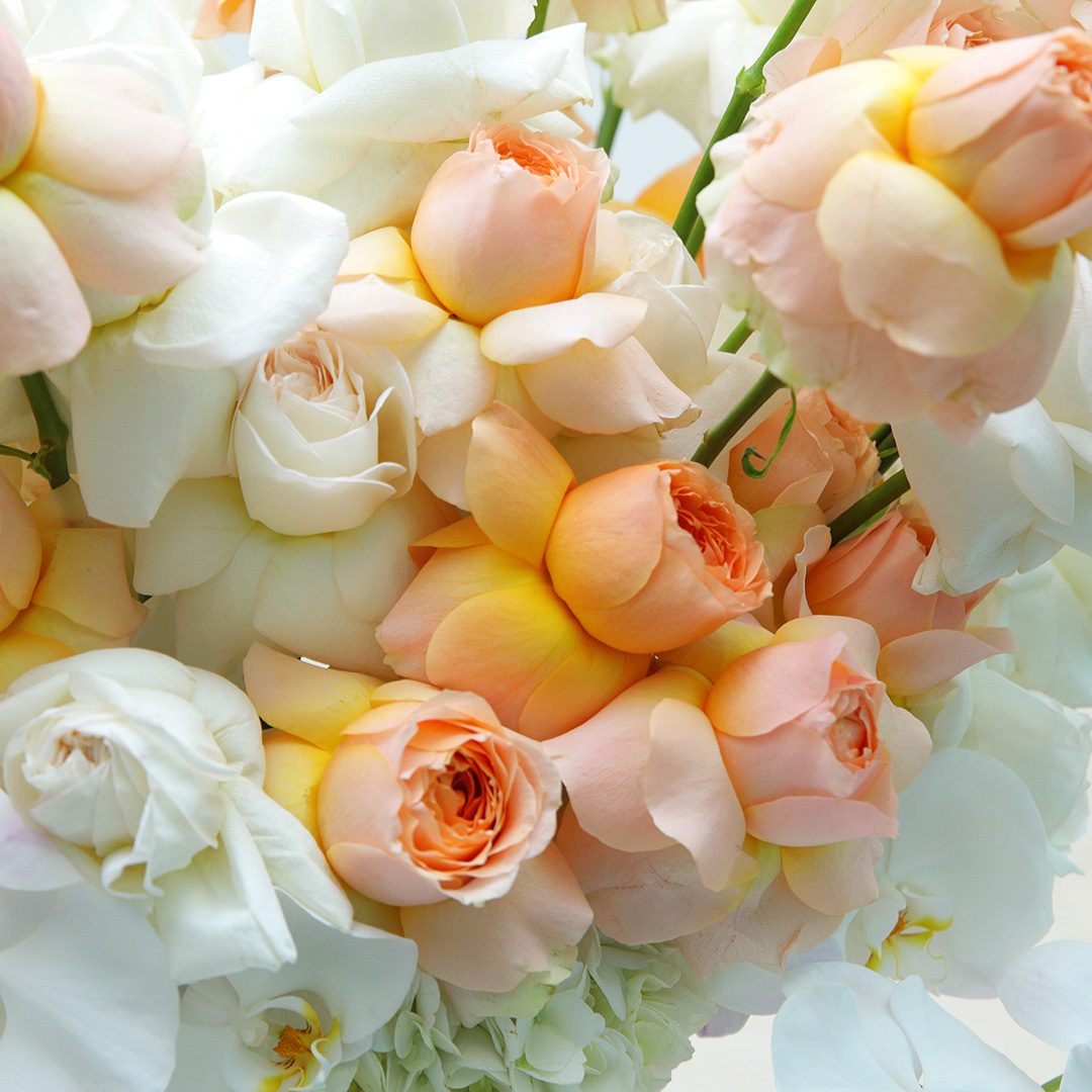Noble Peach flower arrangement by Black Tulip Flowers