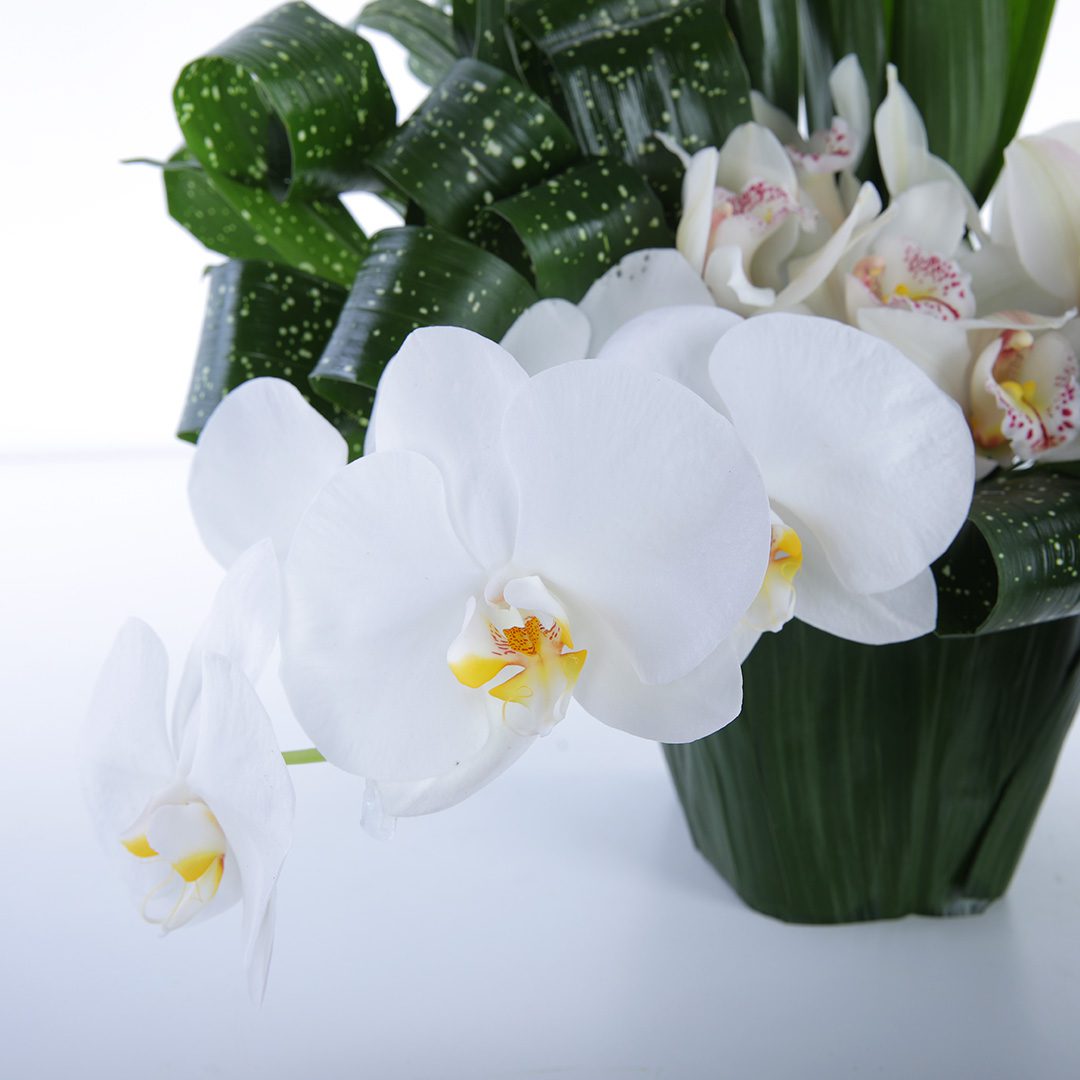 Orchid Duo flower arrangement by Black Tulip Flowers