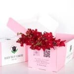 Orchids Mokara - Red (2)