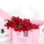 Orchids Mokara - Red (3)