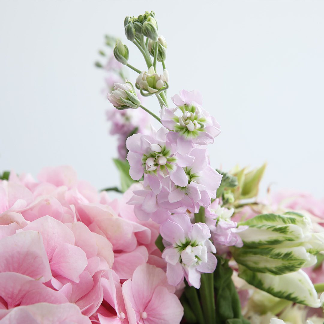 Pastel Blooms with Box by Black Tulip Flowers