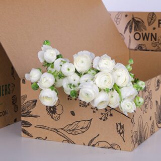 Ranunculus White