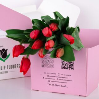 Tulip Regular Orange