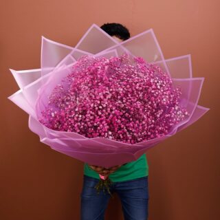 A bouquet of gypsophila delicately spray-painted in a soft pink shade in a pink wrap.