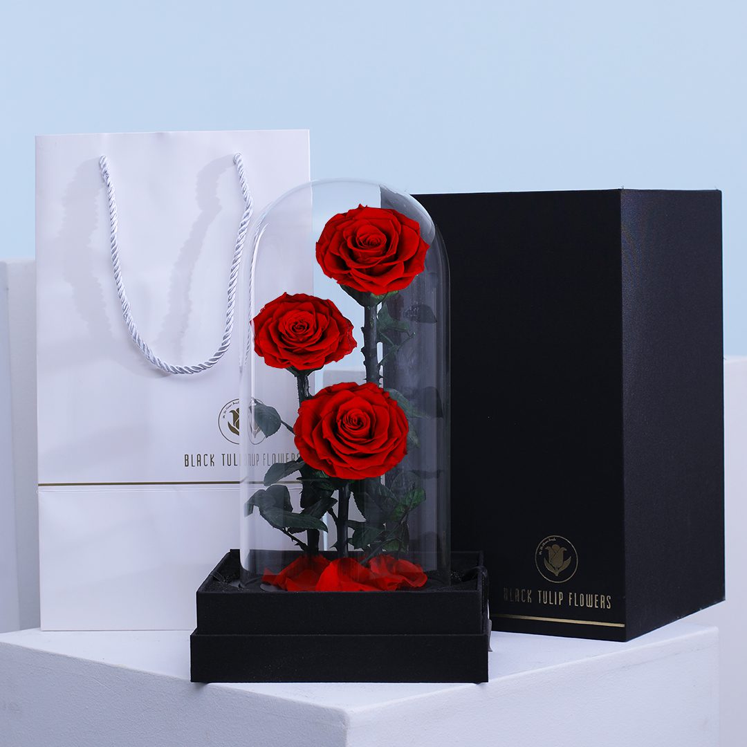 Red Trio Forever Rose - 3 Red Infinity Roses in Glass Dome