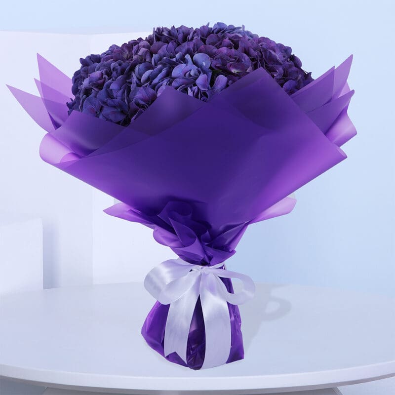 A bouquet of purple Hydrangeas in a luxury purple wrap tied with a white ribbon.