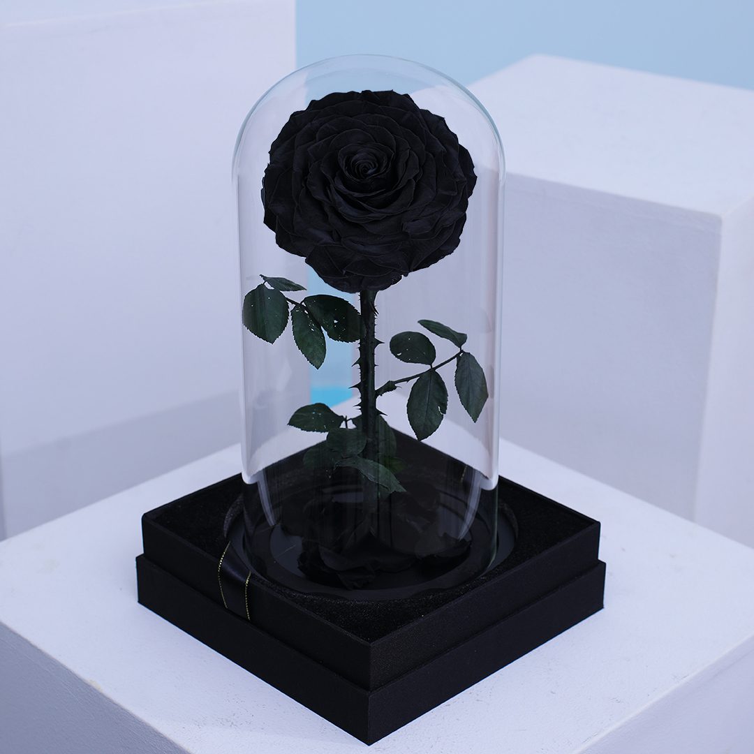 Single Black Forever Rose | Timeless Preserved Black Rose