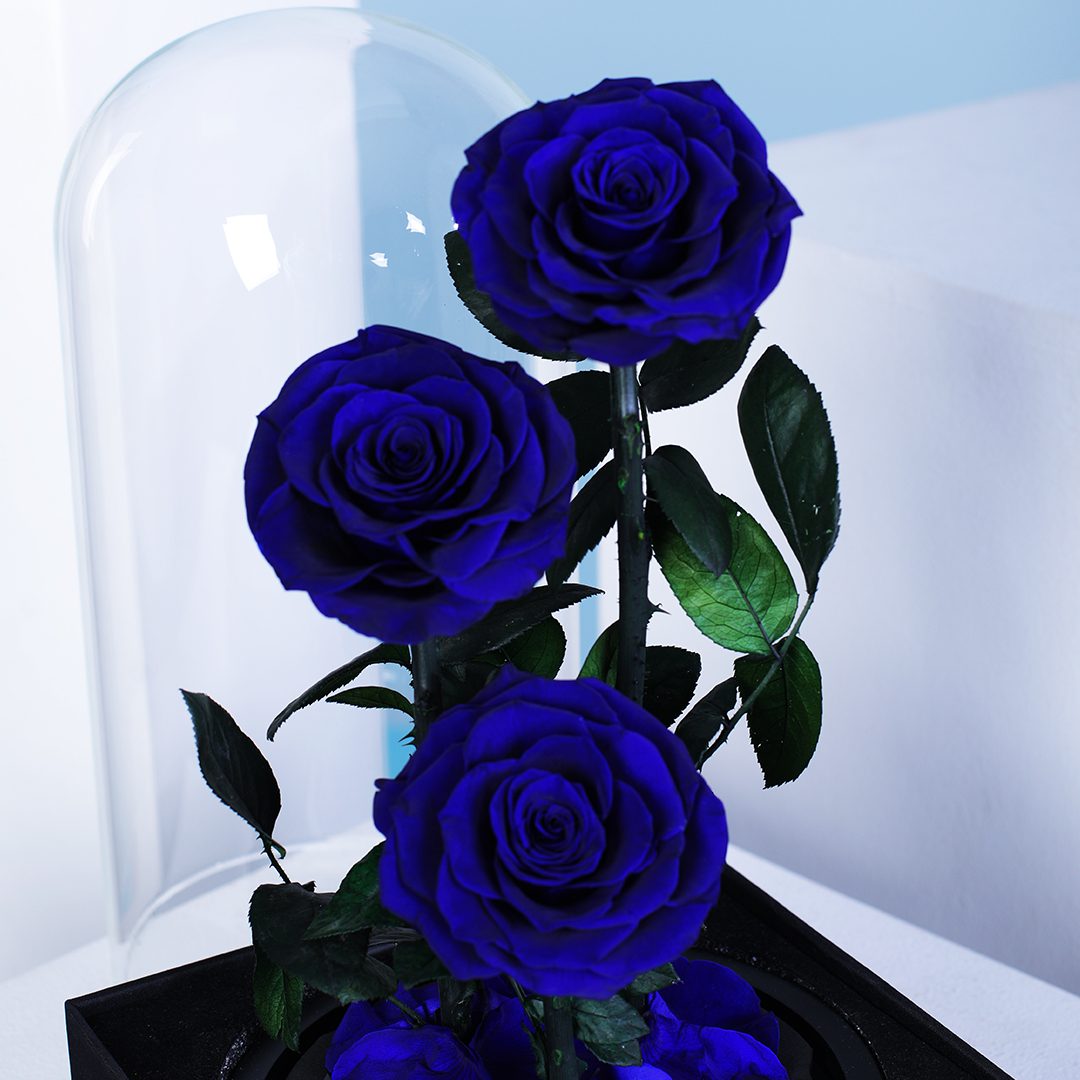 Blue Trio Forever Rose | 3 Royal Blue Infinity Roses