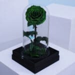 Single Green Forever Rose 1 03