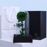 Single Green Forever Rose 2 03