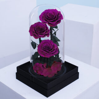 purple trio forever rose blacktulip flowers