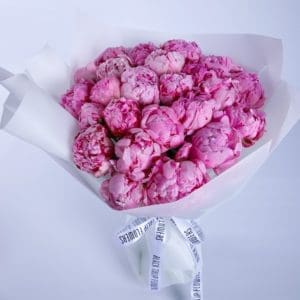 A bouquet of pink peonies wrapped in white paper with a white ribbon.