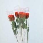 5pcs Single Wrapped Rose Bunch 1 04 - 015