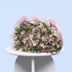 Alluring Pink Alstroemerias 2 2 (466)